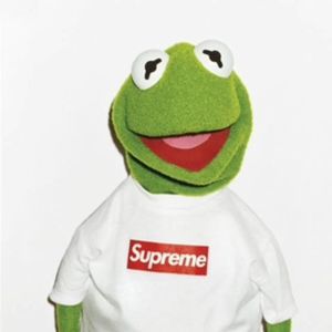 Meet your Posher, Dylan